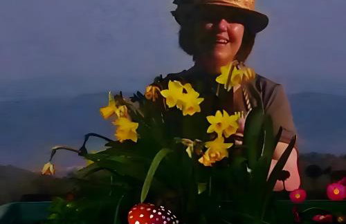 Finnhütte Hohe Klinge Trusetal - Photo 30