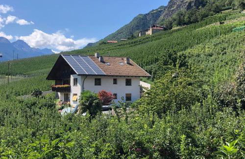 Pixnerhof - Ferienwohnung Golden - Foto 33