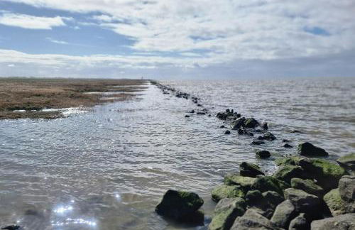 Nordseeglück - modern und ruhig mit Sauna - Foto 31