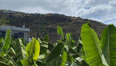 Pana House - Photo 2