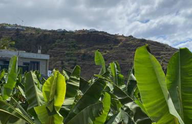 Pana House - Photo 2