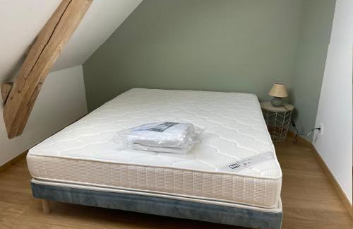 Gîte de charme près du Mans pour 4 avec piscine naturelle - FR-1-410-473 - Photo 14