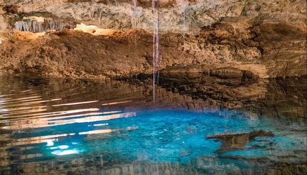 Excursión a la bahía de Akumal + Reserva Balam - Foto 4, Dentro del cenote