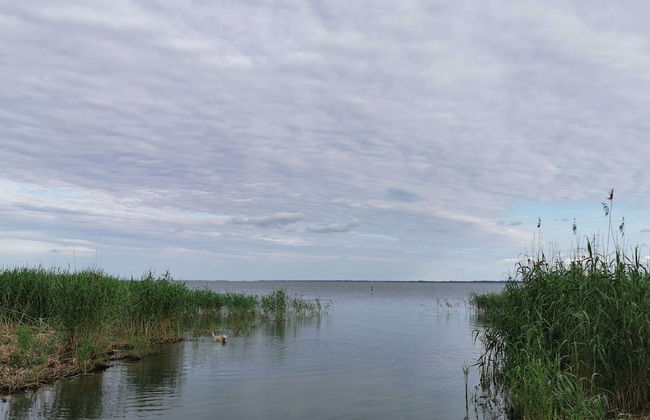 Spacious Flat in Wilhelmshof near Lake - Foto 40