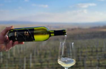 Kuća za odmor Baron - Foto 46