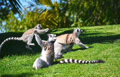 La Vista al mar de Belén - Foto 62