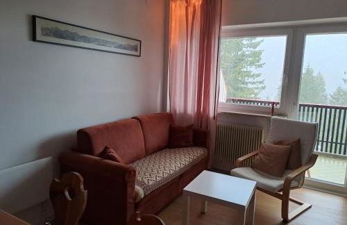 Casa Vacanze Bianca Sella Nevea - Photo 7