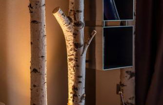 Casera Cornolera - Foto 37