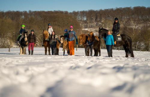 Ferienhof Homann Sauerland - Foto 13