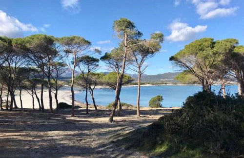 neues Haus mit beheiztem Pool - Foto 33