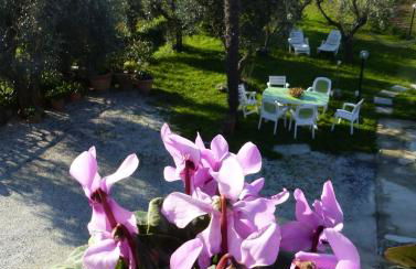 La casa di Silvia - Foto 4