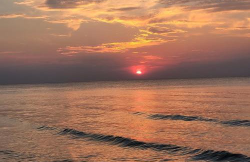 Zakątek Sasanki - Foto 41