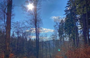 17 AM BERG - Foto 60