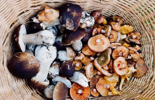 Apartament dúplex amb vistes al Pirineu català - Photo 42