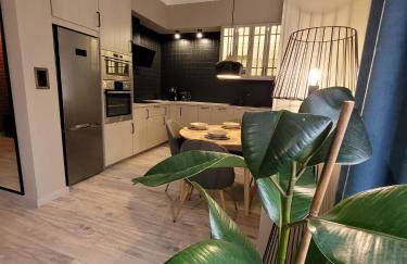 BoleslaviaApartments - Apartament Simon 3, Center, air conditioning - Foto 1