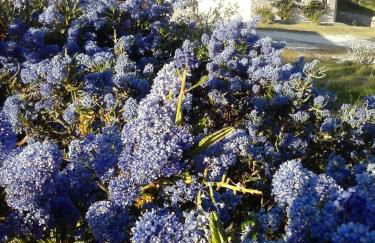 Agriturismo Valiana - Foto 65