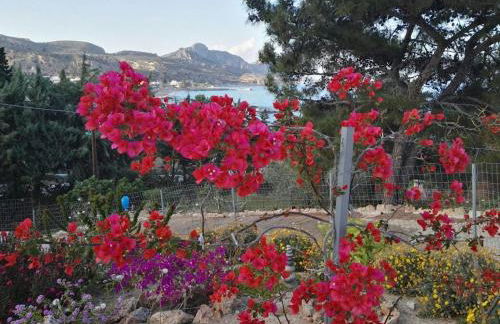 Bouganville Studios Stegna - Foto 15