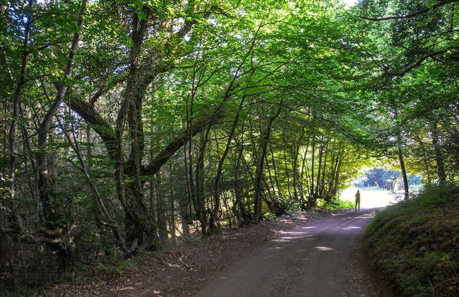 Slowley Farm - Foto 71