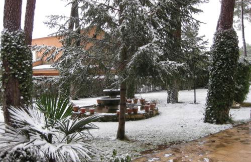 El Chalet del Pinar - Foto 45