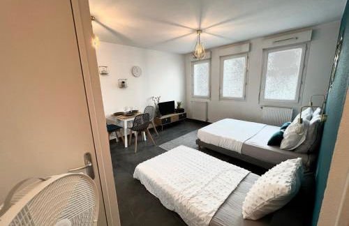 Agatha : ACCES FACILE GARE PARDIEU / EUREXPO / AEROPORT / GROUPAMA STADIUM - Foto 10