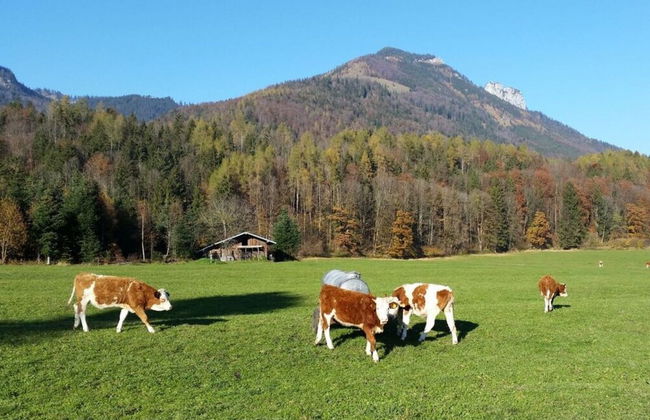 Fantastic Apartment in Schleching - Photo 18