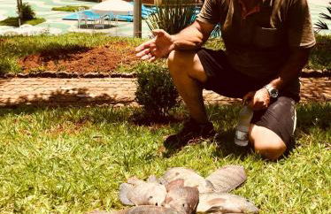 Hotel Fazenda Colina - Foto 59