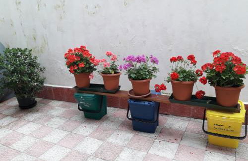 Domus Grace - Foto 14