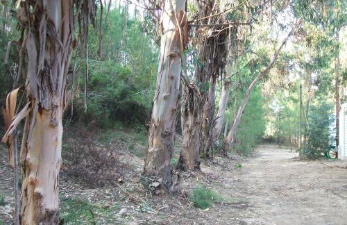 Résidence Santa - Foto 28