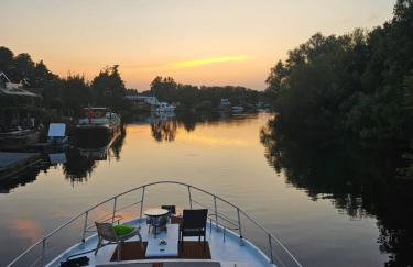 Rhapsody in Blue - Foto 23