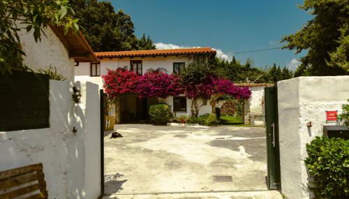 La casa de los árboles - Foto 4