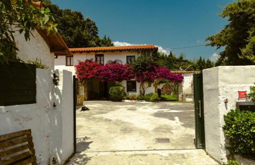 La casa de los árboles - Foto 4