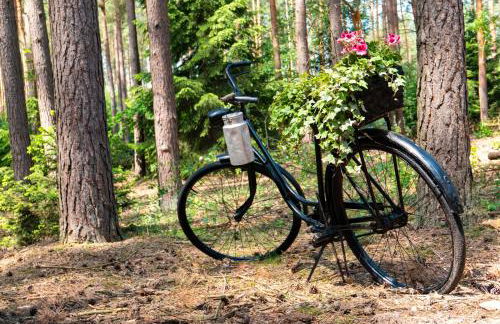 Waldhaus Hilde - Foto 18