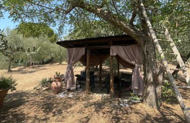 Scorcio d'Infinito di Peccioli - Foto 15