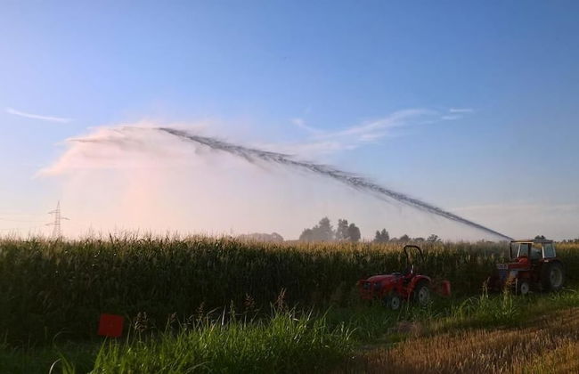 Agriturismo Cipolli e Podò Corte Carlini - Foto 25