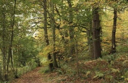 Charming Spacious Apartment, Kidderminster - Foto 25