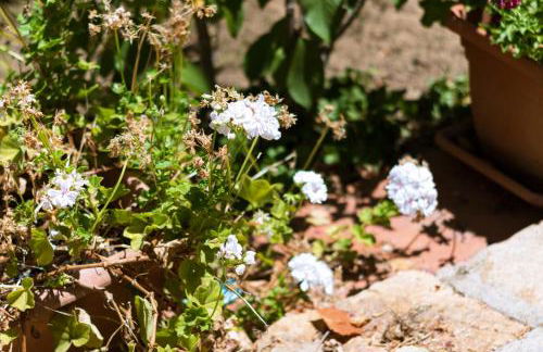 Villa Stella, with garden, five minutes from the beach - Foto 58