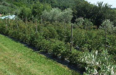 Agriturismo Cascina Rossano - Foto 77