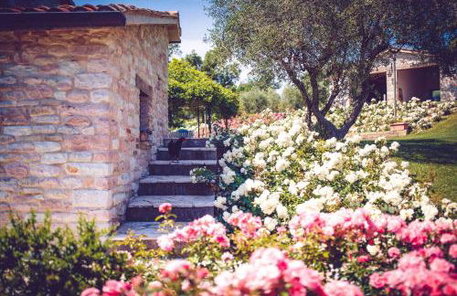 Agriturismo Casal San Sergio - Photo 58