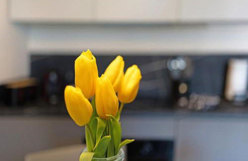 Maison del Sasso Lago Maggiore - Photo 13