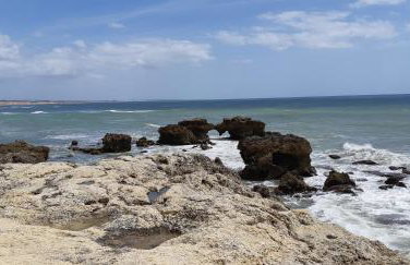 Jeannie's Oura Estrela - Foto 35