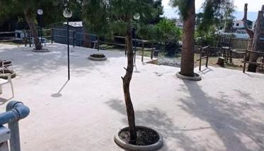 Appartamento in villa con pineta - Foto 5