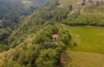 La Quiete del Pero Fiorito Villa in the Langhe - Foto 50