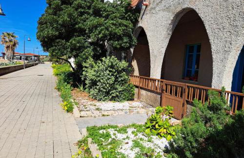 lungomare chess - Foto 31