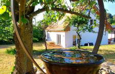 Dobre Miejsce - Foto 35