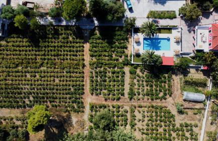 Zissis Villa & pool 5min drive to beach - Foto 30