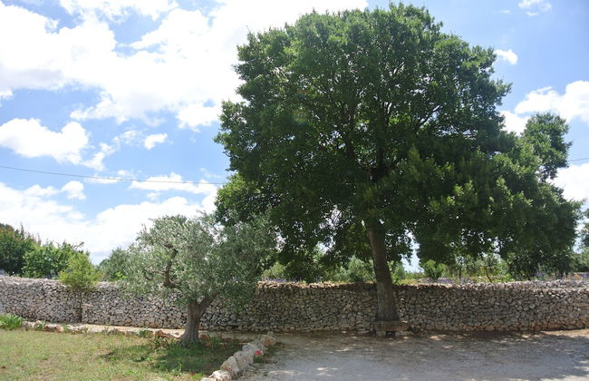 Trulli Paparale - Foto 29