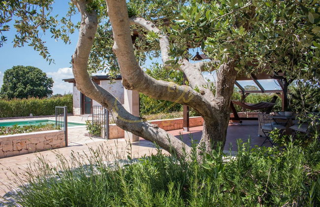 TD Casale Del Vento in the Countryside With Pool - Foto 7