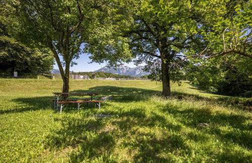 Agriturismo Malga Riondera - Foto 41