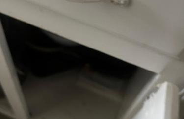 Tulip Tree Cottage - Foto 16