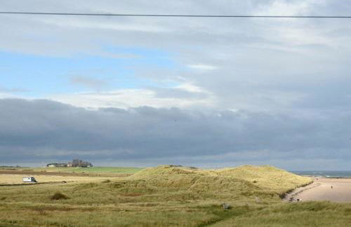 Castle View at the Viking - Photo 37